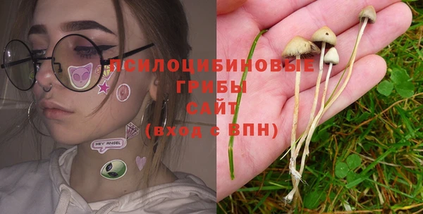 прущая мука Алексин