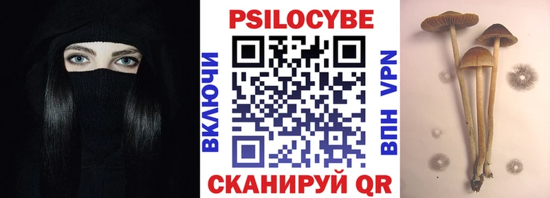 Галлюциногенные грибы Psilocybe Нея